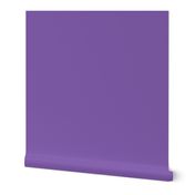 halloween solid bright purple » halloween