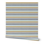 multi stripes || with gold