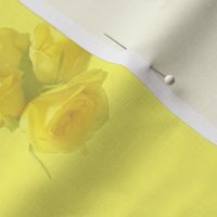 Soft_yellow