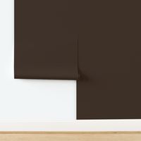 Solid Bistre Brown (#3D2B1F)