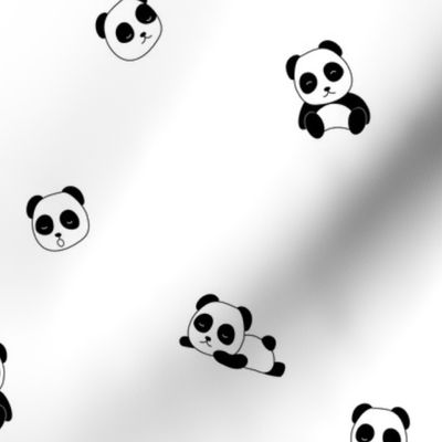 Pandazzz