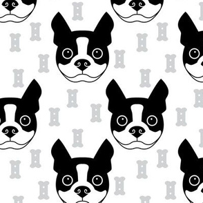 boston-terrier-and-dog-biscuits