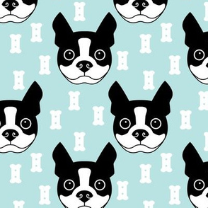 boston-terrier-and-dog-biscuits-on-blue-background
