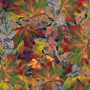 Autumn Leaves 2