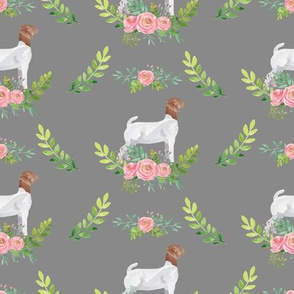 Showstock & Roses - Goats *NEW SMALLER REPEAT