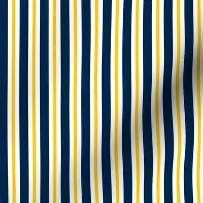 Yellow and blue team color Stripe