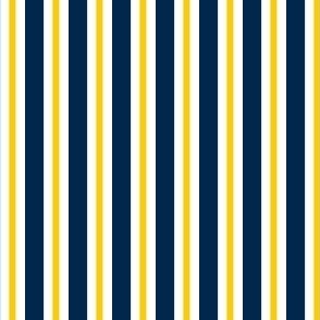 Yellow and blue team color Stripe