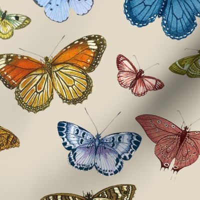 Butterflies Custom Colors