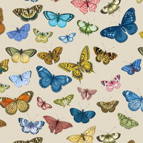 Butterflies Custom Colors