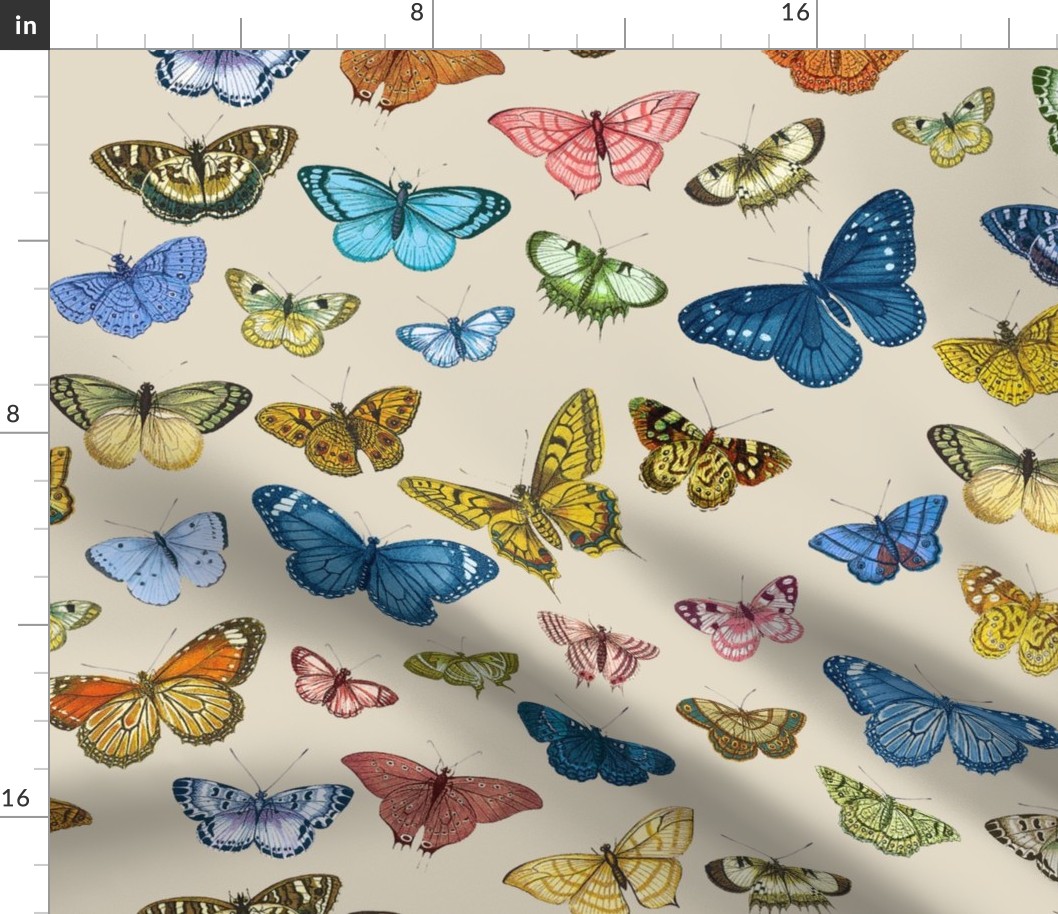 Butterflies Custom Colors