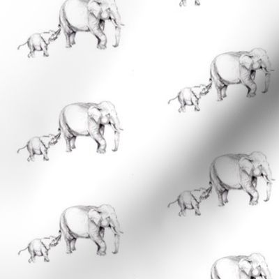 elephants