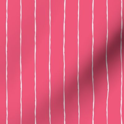 pinstripes white on hot pink » halloween