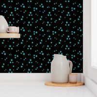 starry stars LG teal on black