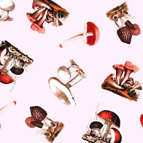 Vintage Mushrooms in Red + Petal Pink