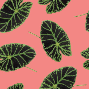 Floral Fern Lilypad Toss in Salmon