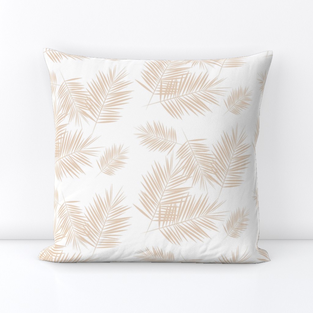 Palm leaf - nude on white  Palm leaves Palm tree tropical summer  