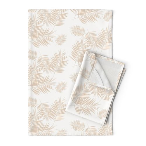 Palm leaf - nude on white  Palm leaves Palm tree tropical summer  