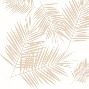 Palm leaf - nude on white  Palm leaves Palm tree tropical summer  