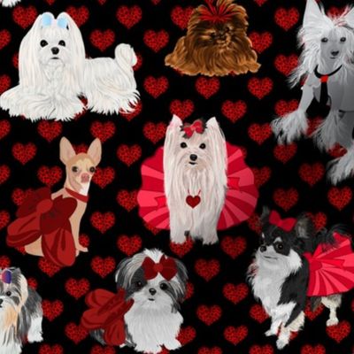 Red Leopard Hearts - Maltese, Chihuahua, Chinese Crested, Pomeranian, Yorkie, Parti Yorkie