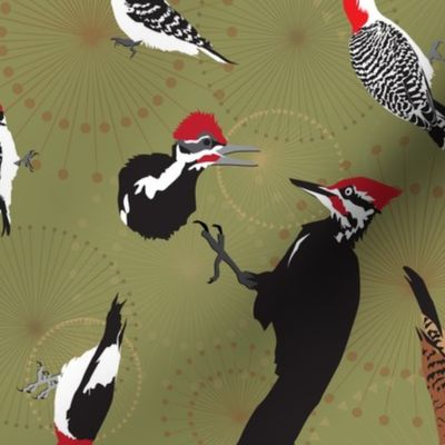 North American Woodpeckers green