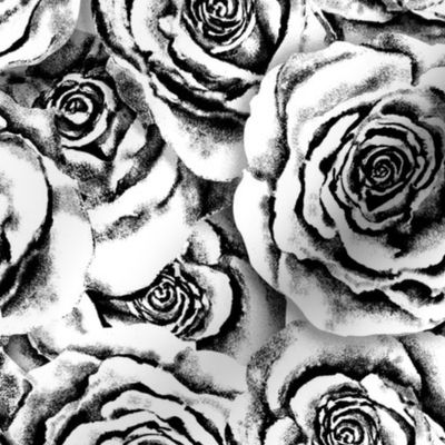 Platinum Roses