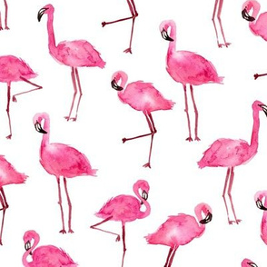 pink flamingos