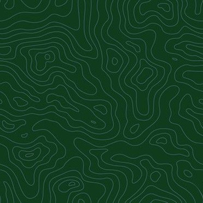 Topographic Map Green and White Map Stripes
