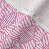 Pink and White Tribal Box Stripes