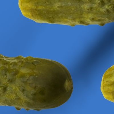 Pickles on Blue