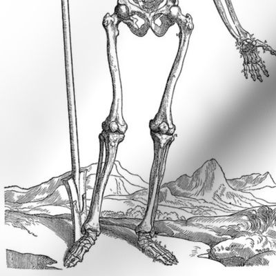 163-skeleton-dug-his-own-grave-q95-1245x2097