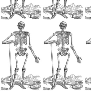 163-skeleton-dug-his-own-grave-q95-1245x2097