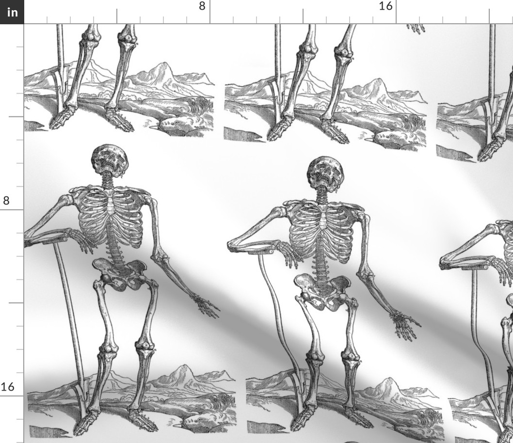 163-skeleton-dug-his-own-grave-q95-1245x2097