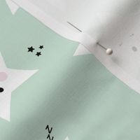 sleepy stars || mint