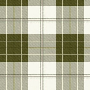 Cottage Core Green Plaid