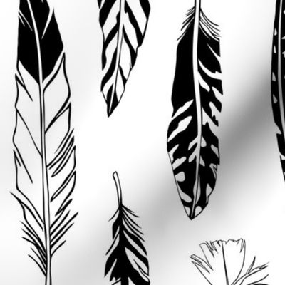 Feathers