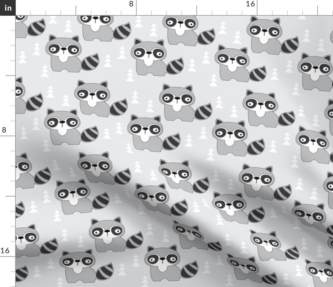 raccoons on grey