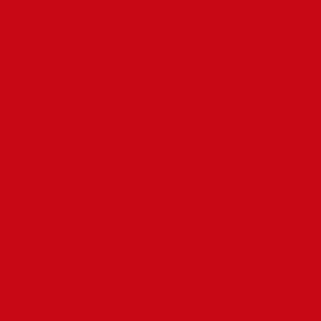  Solid Venetian Red (#C80815)