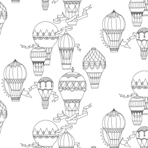 Hot Air Balloons