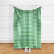 Houndstooth Baby Blue and Kelly Green