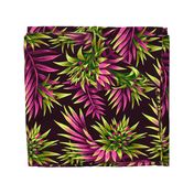 Fasciata Tropical - Green/Pink  - LARGE SCALE