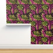 Fasciata Tropical - Green/Pink  - LARGE SCALE