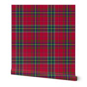 West Virginia official tartan, 12"