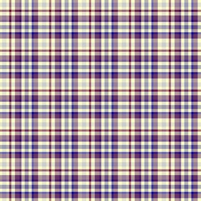 Purple and Yellow Plaid