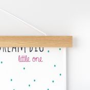 Dream Big Little One  - Navy Hot Pink and Teal  Stars