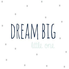 Dream Big Little One in Aqua Mist  Navy and Grey  Stars