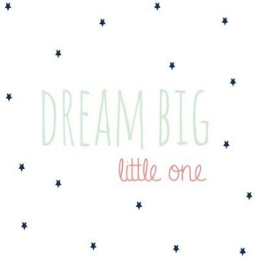 Dream Big Little One in Mint Coral and Navy Stars