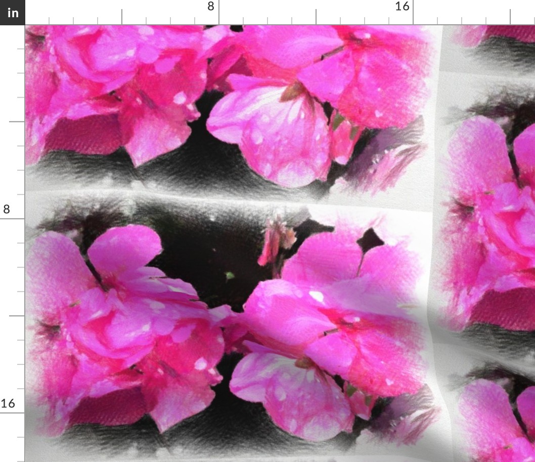 Floral Pink Begonia 
