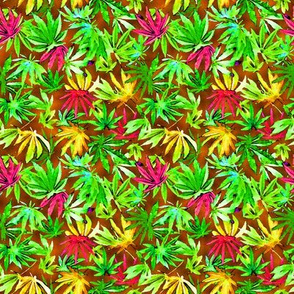 Tropical Cannabis Leaves