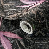 Cranberry Hibiscus on Mulch, grey and pastel pink