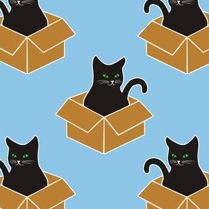 Black Cat in a Box